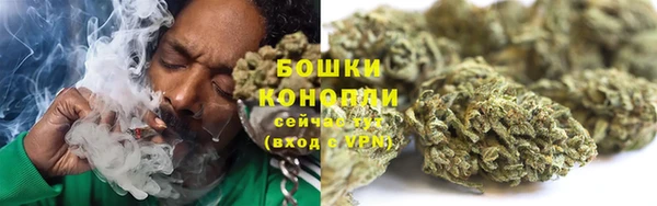 дурь Арсеньев