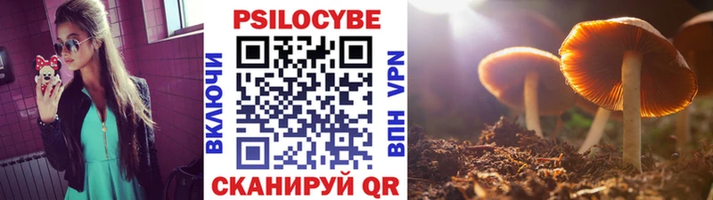 магазин продажи   гидра зеркало  Псилоцибиновые грибы Cubensis  Пошехонье 